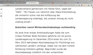 Ausschnitt-Leseansicht